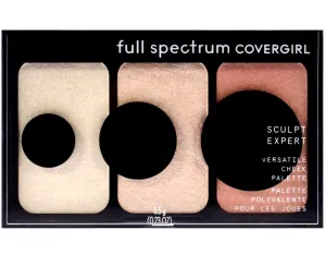 Cover Girl Full Spectrum Sculpt Expert Versatile Cheek Palette Fs100 Blush Touch
