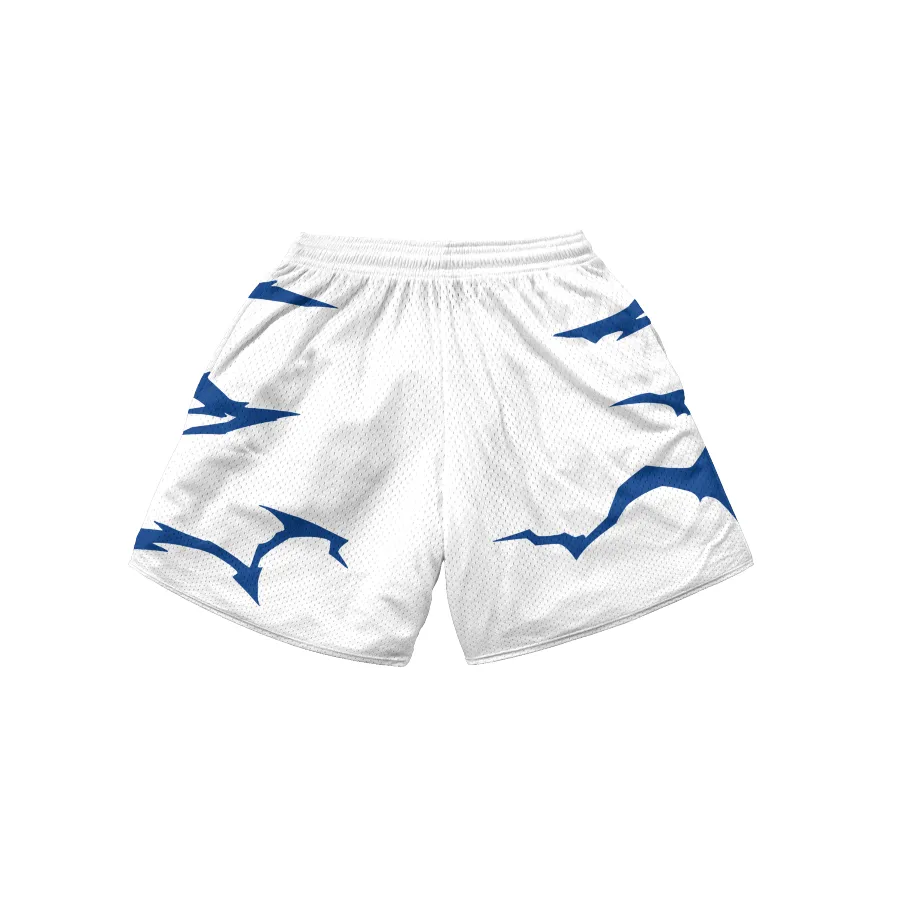 Exam (V2) Shorts