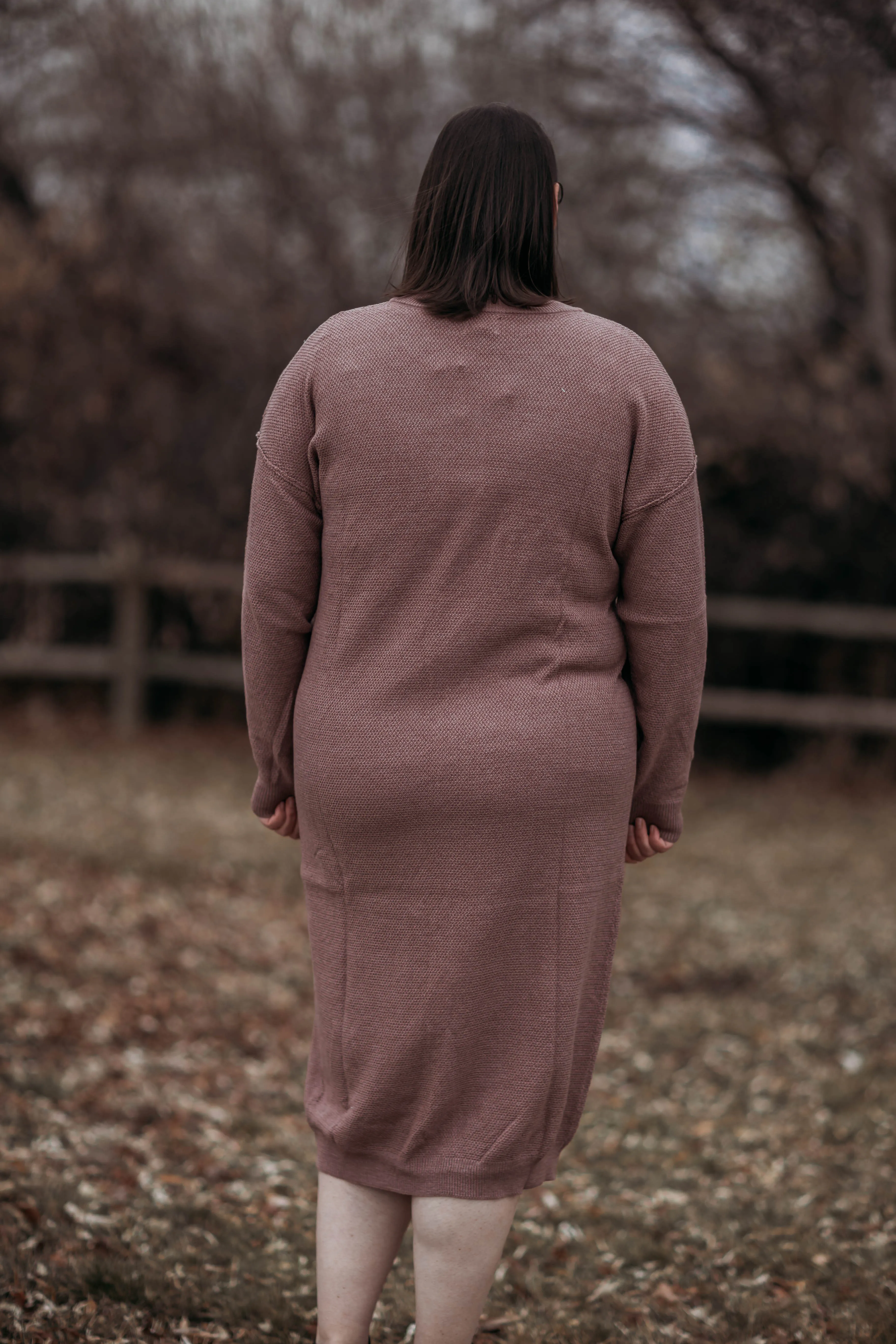 Fawn sweater dress--purple brown