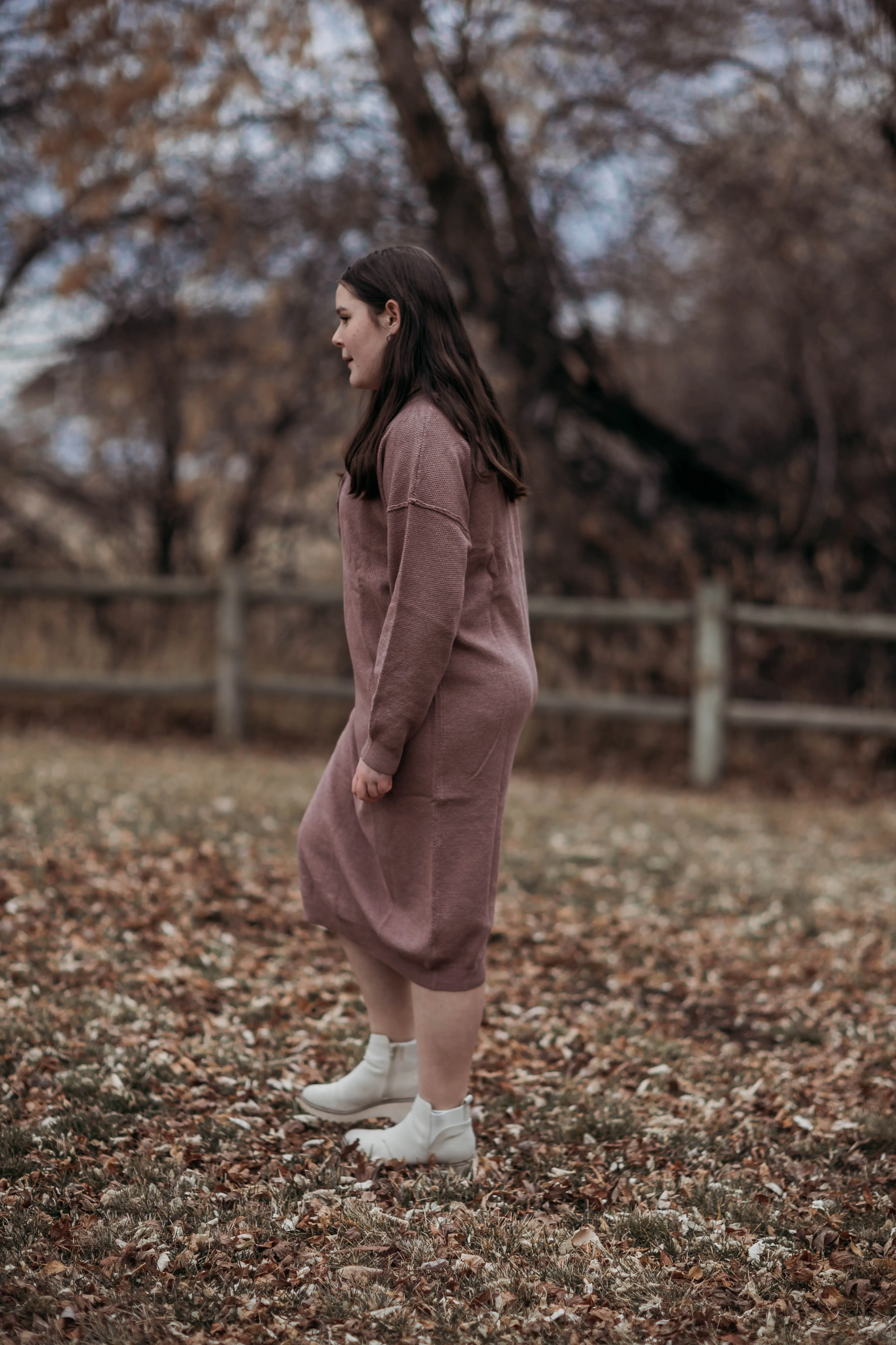 Fawn sweater dress--purple brown