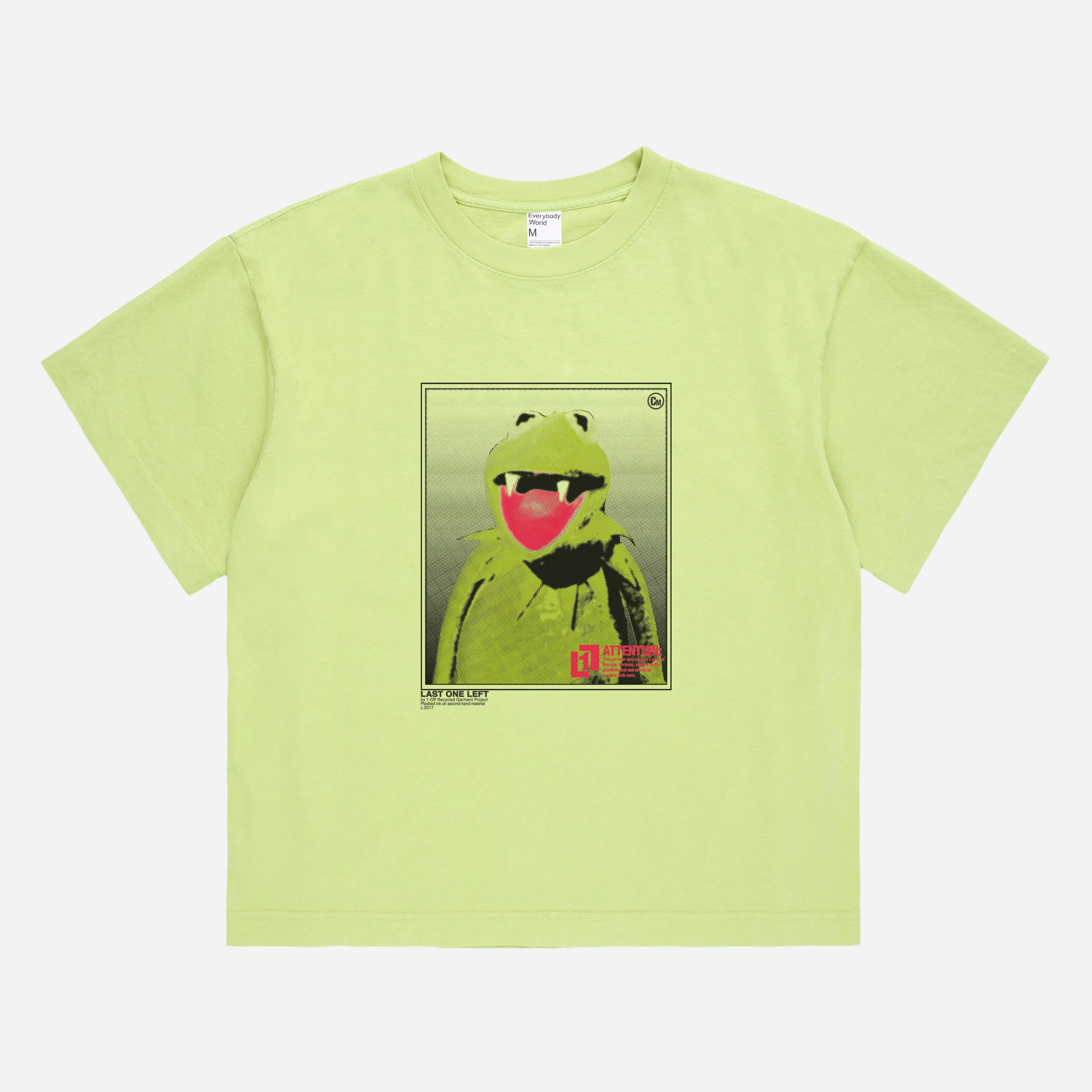 The Spooky Frog T-Shirt (Cardamom) - Boxier Fit