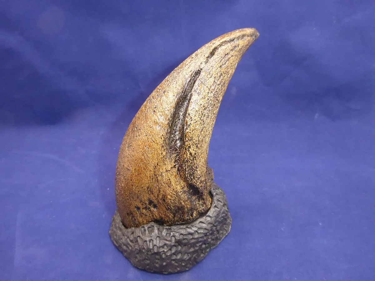T.rex Claw 6.2" Tyrannosaurus Rex T.rex Fossil Claw cast replica for sale