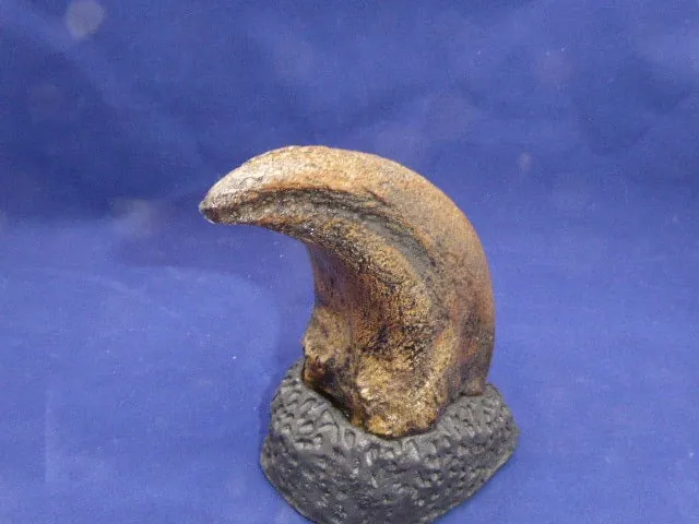 T.rex Claw 6.2" Tyrannosaurus Rex T.rex Fossil Claw cast replica for sale