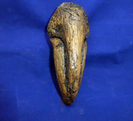 T.rex Claw cast replica