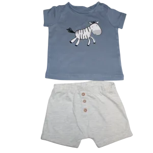 Zebra Summer Set