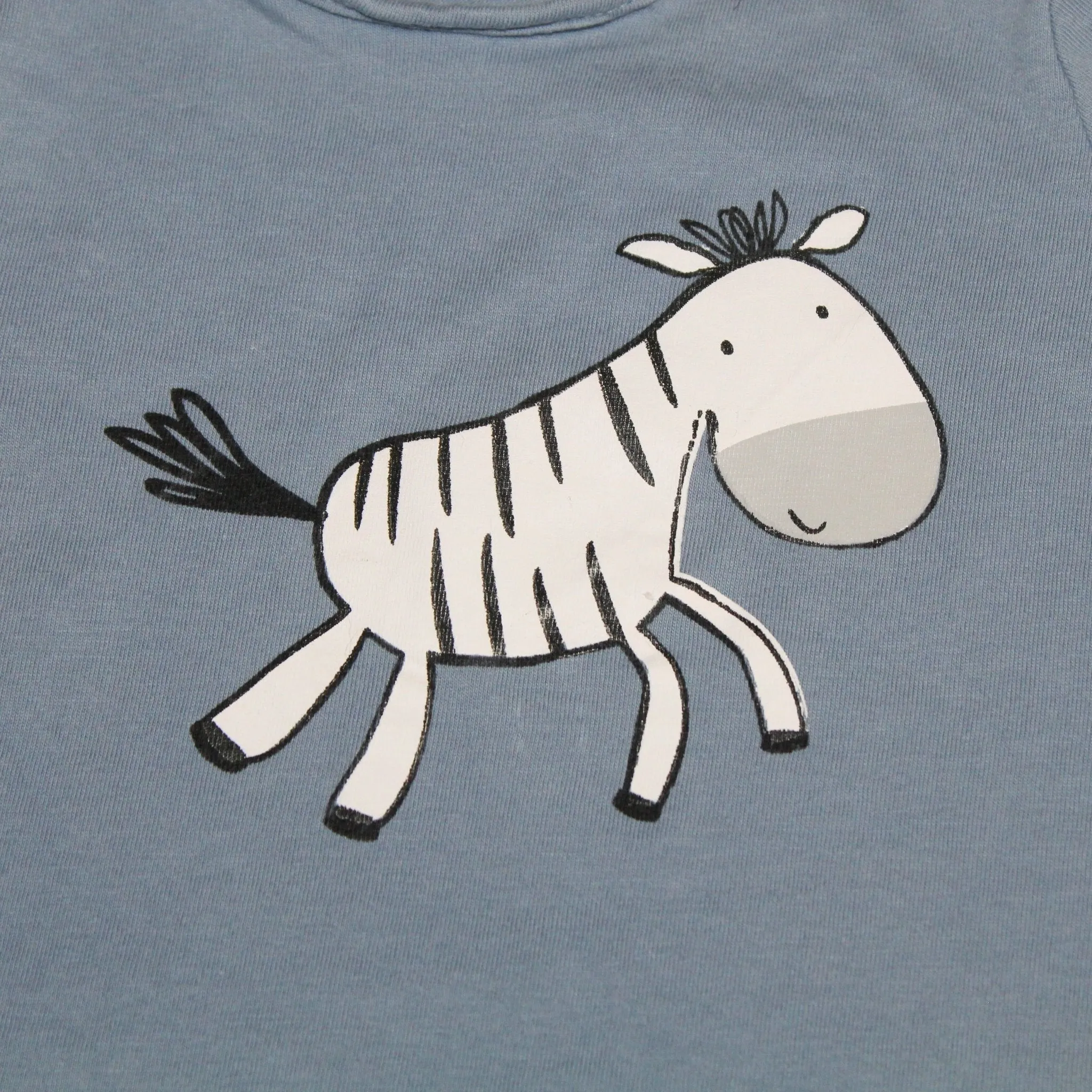 Zebra Summer Set