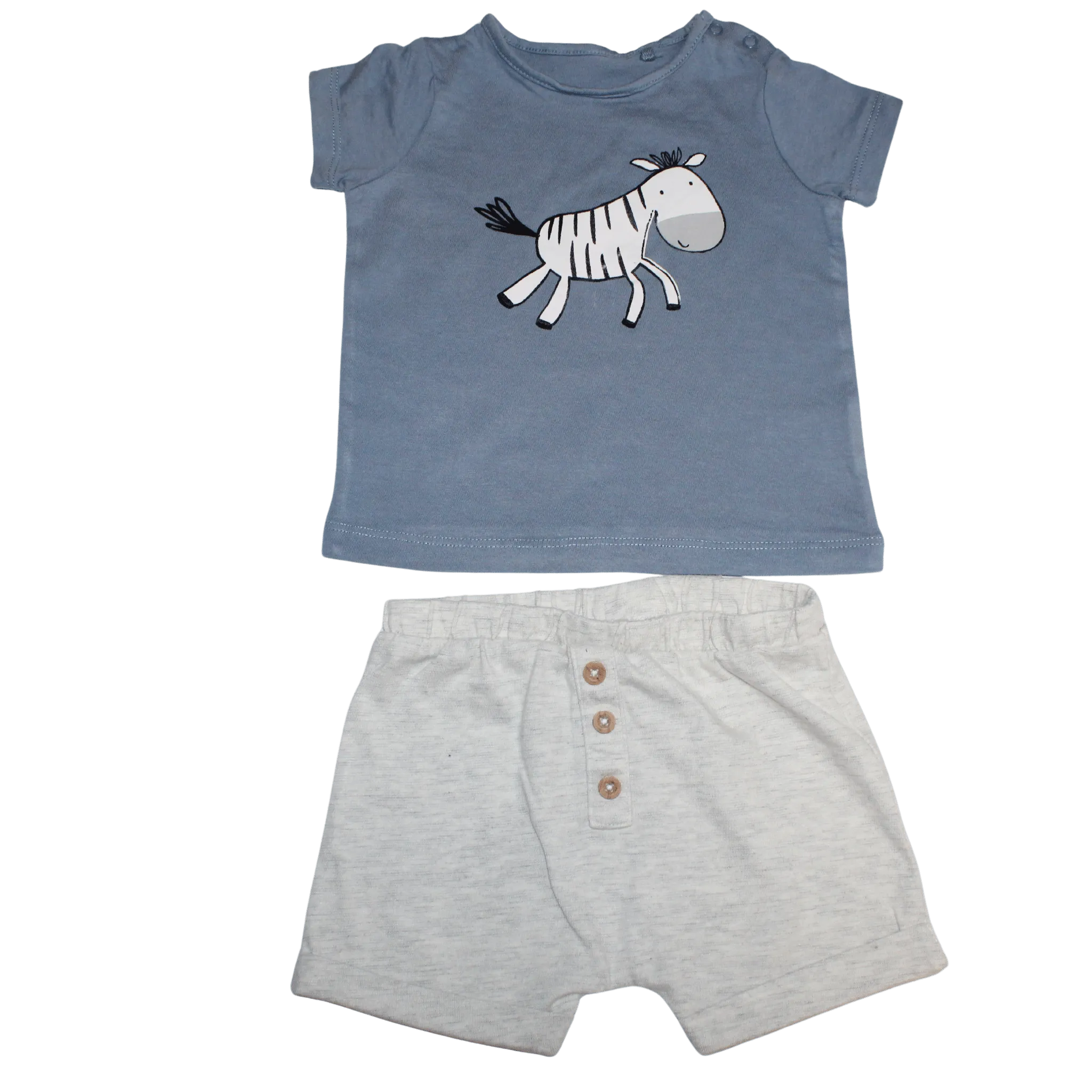 Zebra Summer Set